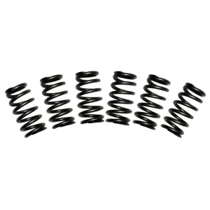 BD Diesel 60lbs Valve Spring Kit Dodge W250 / W350 5.9L 12 Valve (89-93) 1030060