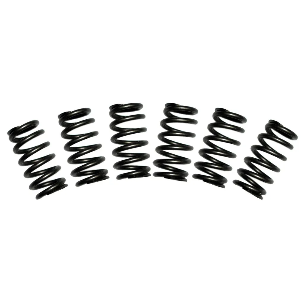 BD Diesel 60lbs Valve Spring Kit Dodge W250 / W350 5.9L 12 Valve (89-93) 1030060