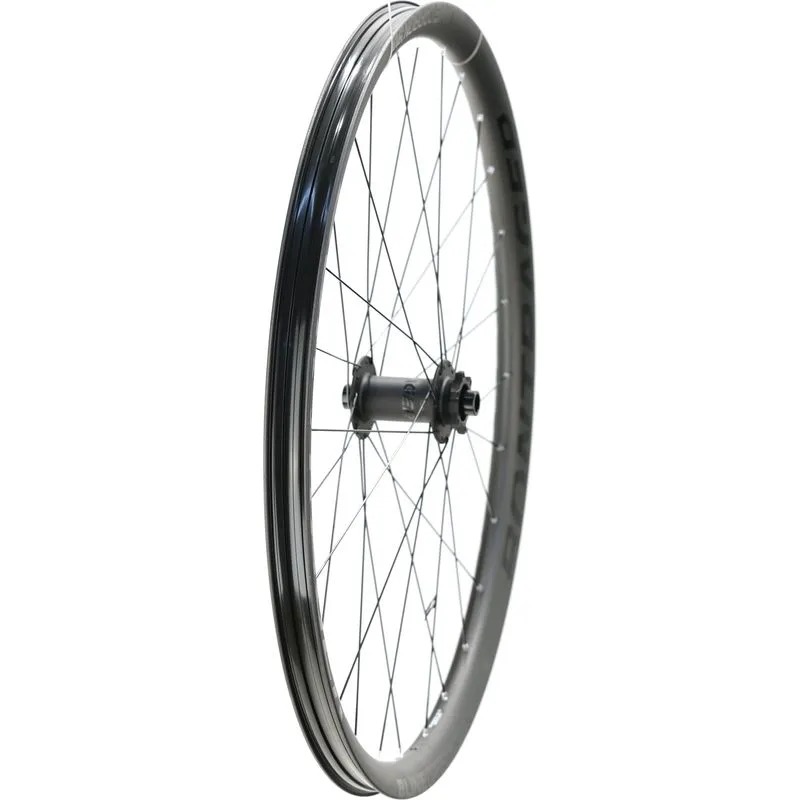 Bontrager Line Carbon 30 Front Wheel, 29" Boost 110mm Disc