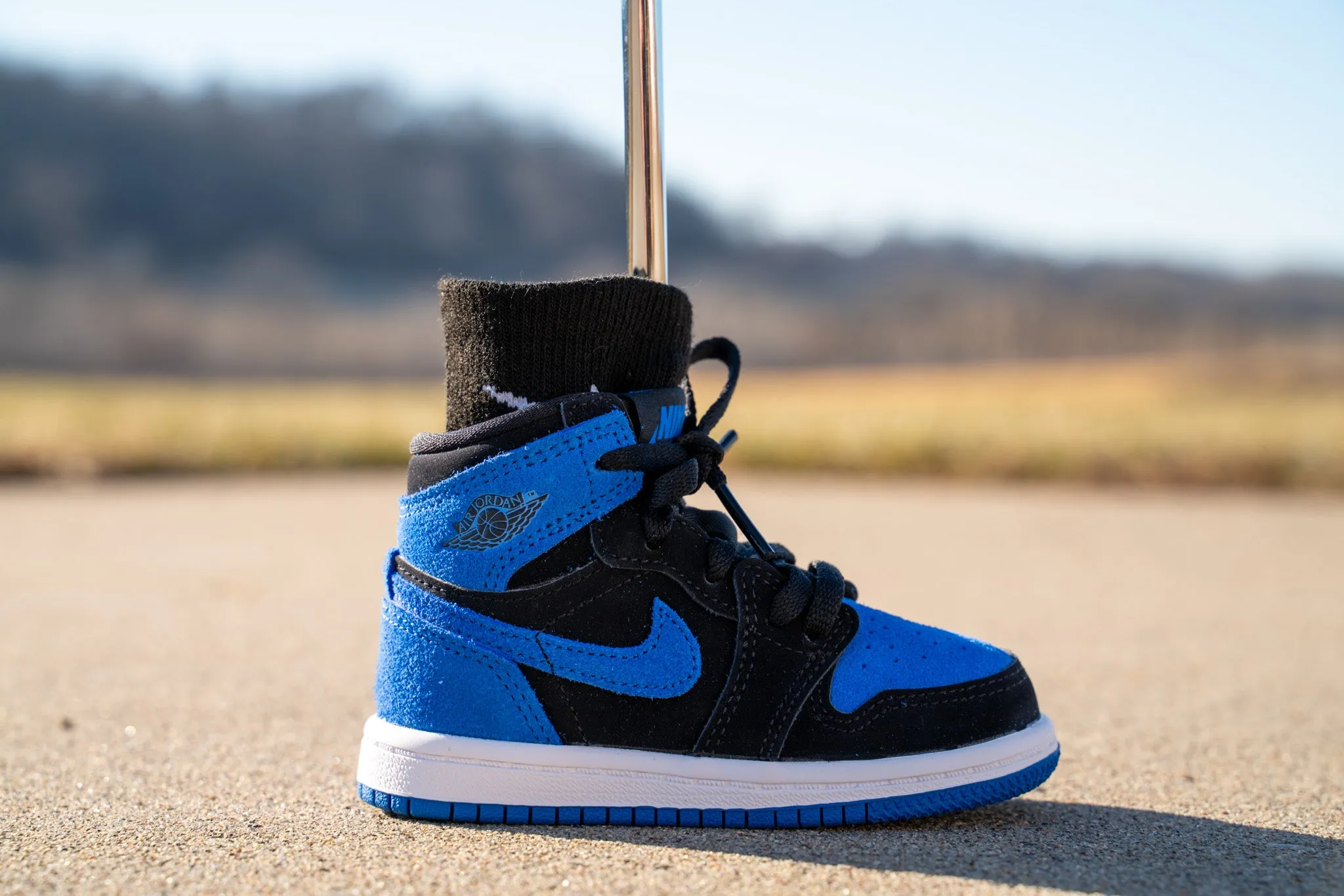 Jordan 1 Retro High OG [ROYAL BLUE] Standing Sneaker Putter Cover