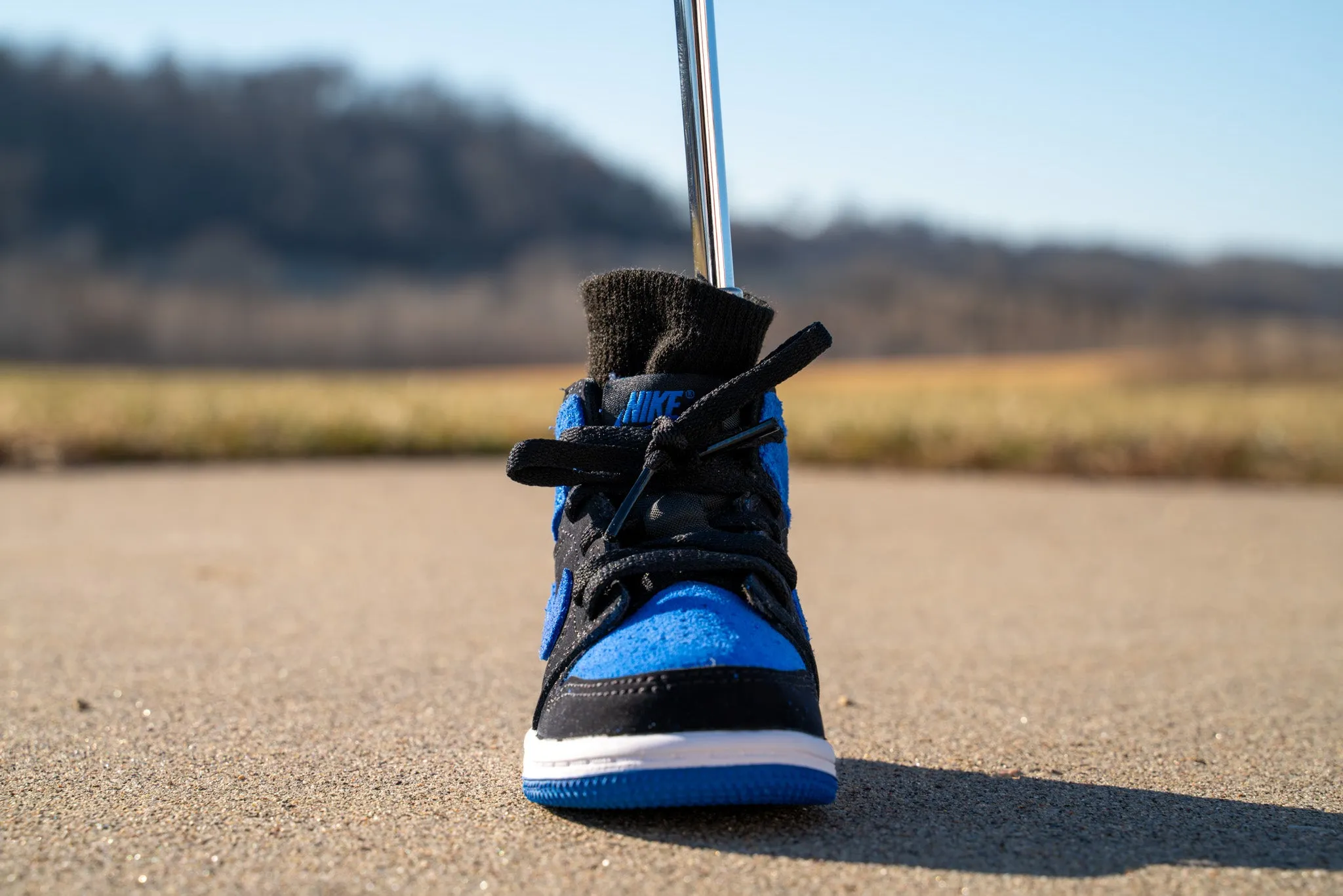 Jordan 1 Retro High OG [ROYAL BLUE] Standing Sneaker Putter Cover