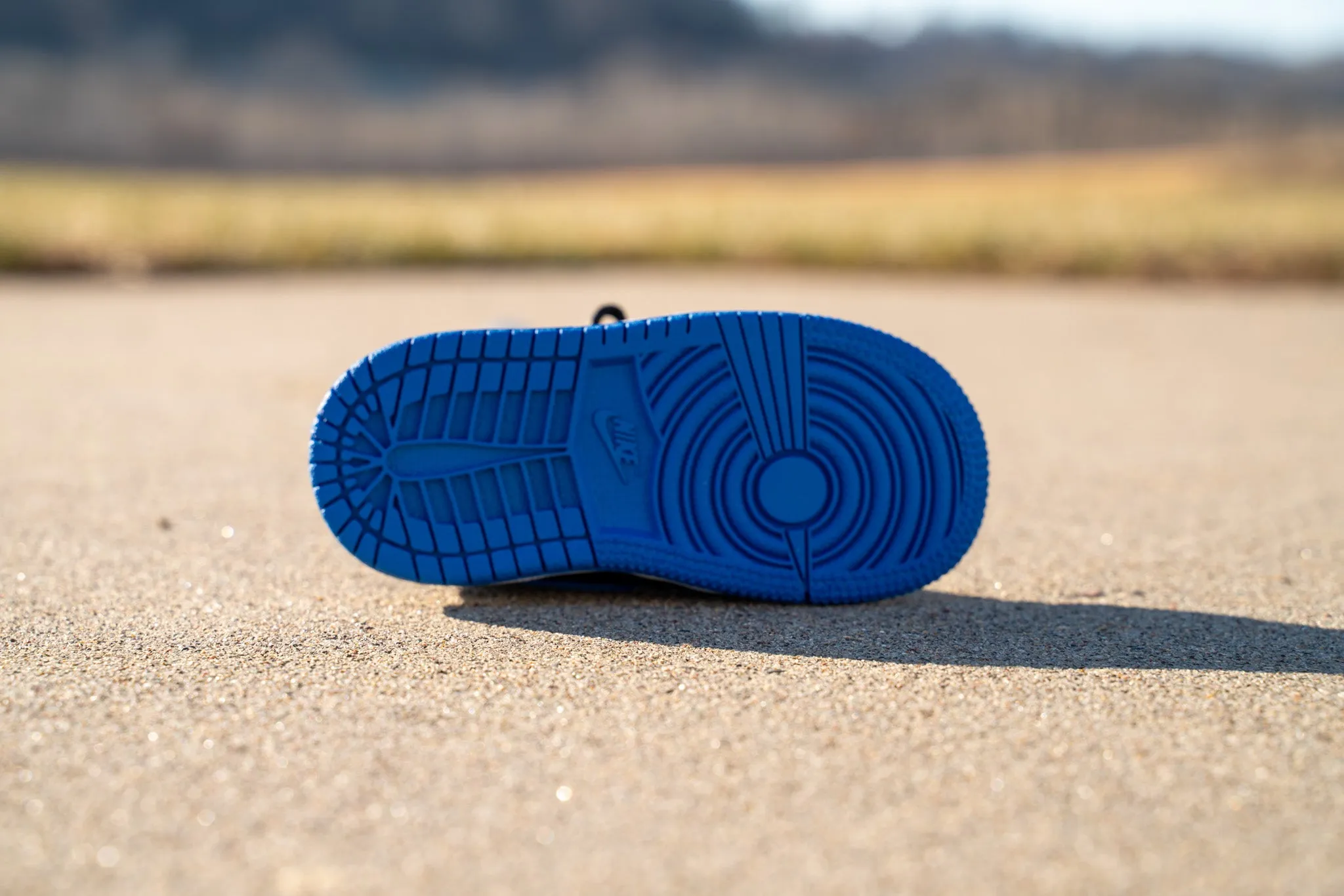 Jordan 1 Retro High OG [ROYAL BLUE] Standing Sneaker Putter Cover
