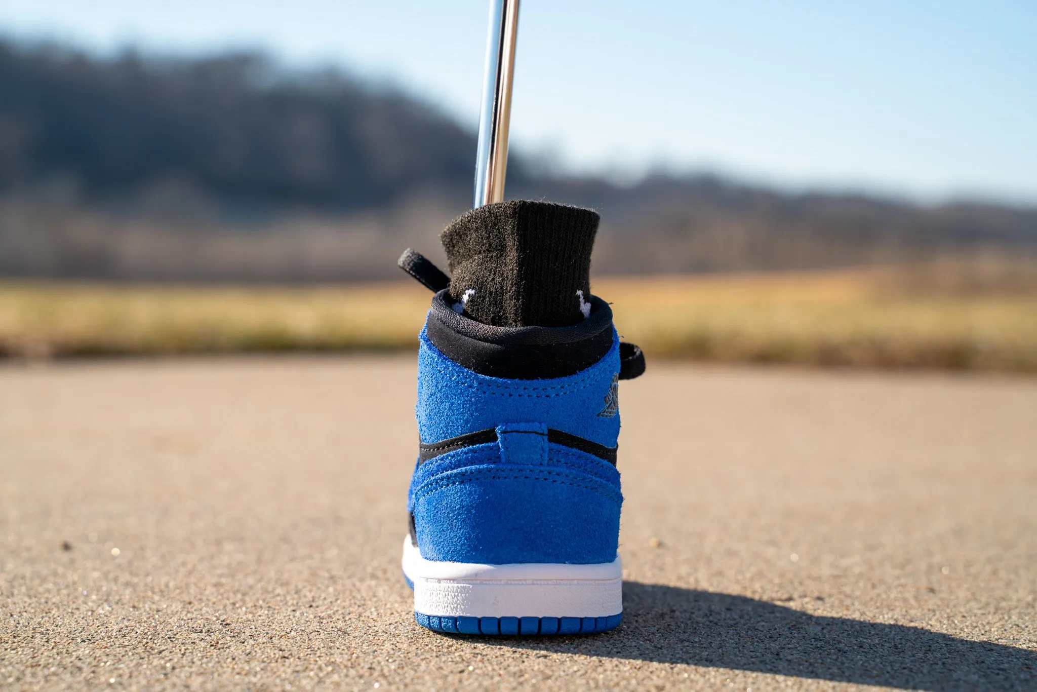 Jordan 1 Retro High OG [ROYAL BLUE] Standing Sneaker Putter Cover