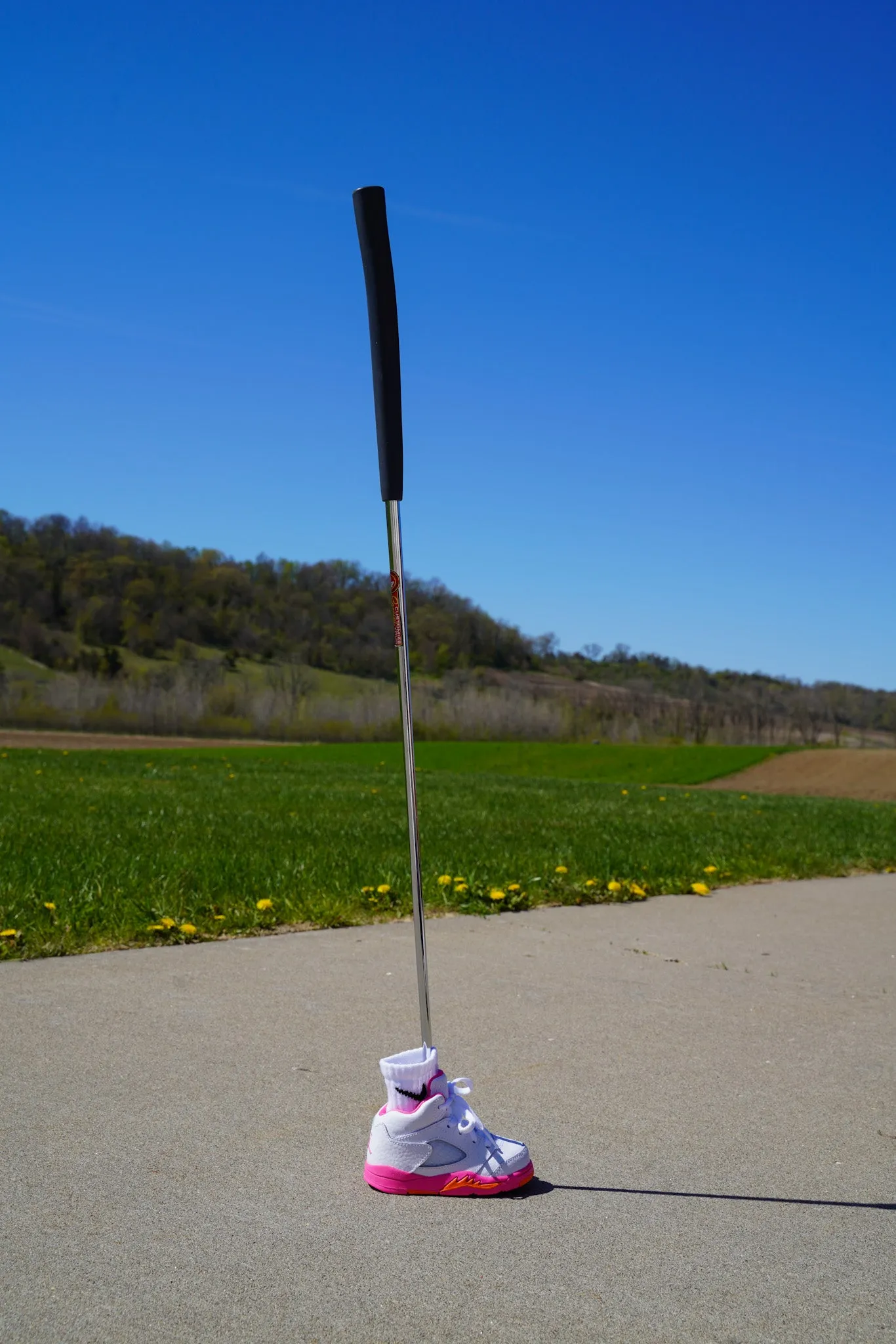Jordan 5 Retro [PINKSICLE] Standing Sneaker Putter Cover