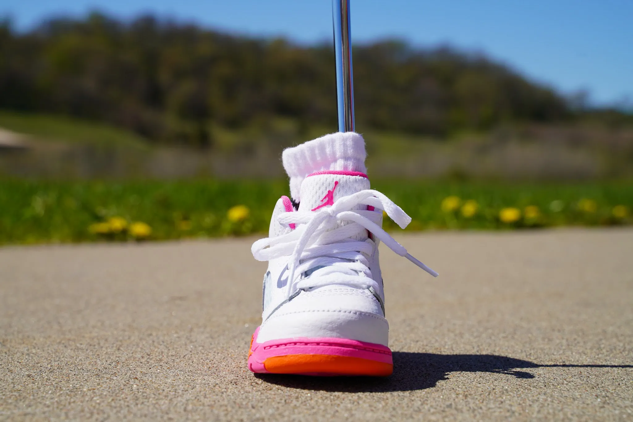 Jordan 5 Retro [PINKSICLE] Standing Sneaker Putter Cover