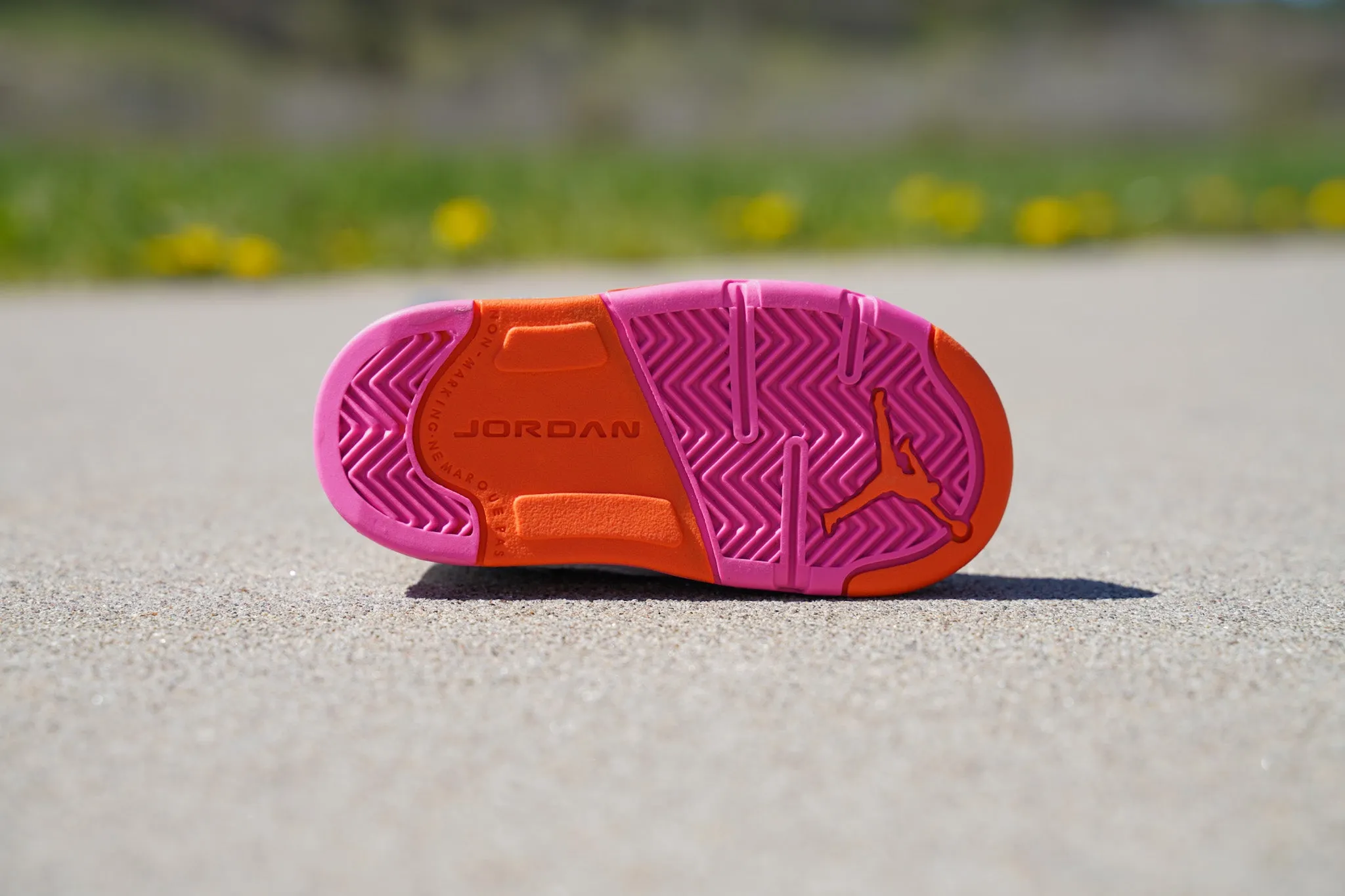 Jordan 5 Retro [PINKSICLE] Standing Sneaker Putter Cover
