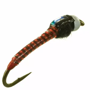 Jumbo Juju Chironomid