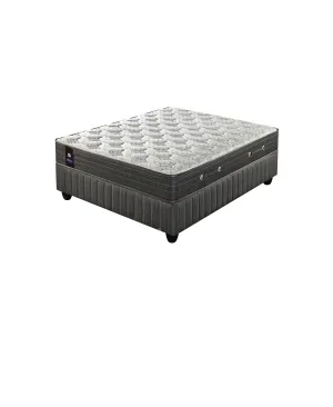 Sealy Posturepedic Amon Firm Queen Bed